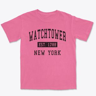 Watchtower New York Classic Established Premium Heavyweight T-shirt
