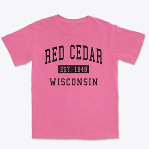 Red Cedar Wisconsin Classic Established Premium Heavyweight T-shirt