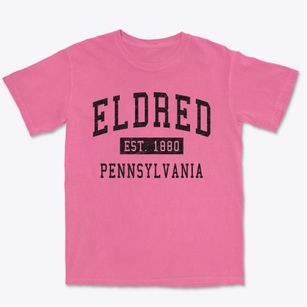 Eldred Pennsylvania Classic Established Premium Heavyweight T-shirt