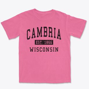 Cambria Wisconsin Classic Established Premium Heavyweight T-shirt