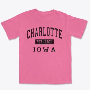 Charlotte Iowa Classic Established Premium Heavyweight T-shirt