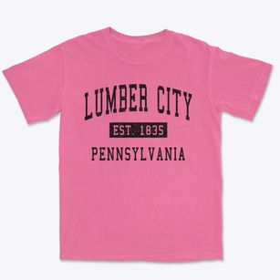 Lumber City Pennsylvania Classic Established Premium Heavyweight T-shirt