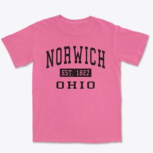 Norwich Ohio Classic Established Premium Heavyweight T-shirt