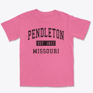 Pendleton Missouri Classic Established Premium Heavyweight T-shirt