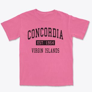 Concordia Virgin Islands Classic Established Premium Heavyweight T-shirt