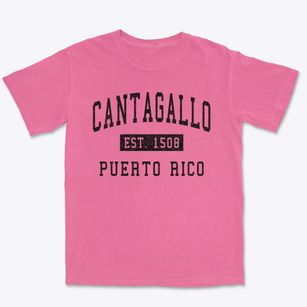 Cantagallo Puerto Rico Classic Established Premium Heavyweight T-shirt