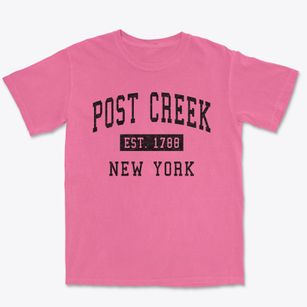 Post Creek New York Classic Established Premium Heavyweight T-shirt
