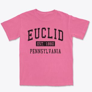 Euclid Pennsylvania Classic Established Premium Heavyweight T-shirt