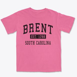 Brent South Carolina Classic Established Premium Heavyweight T-shirt