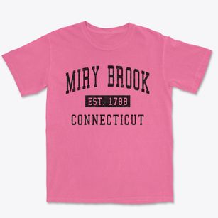 Miry Brook Connecticut Classic Established Premium Heavyweight T-shirt