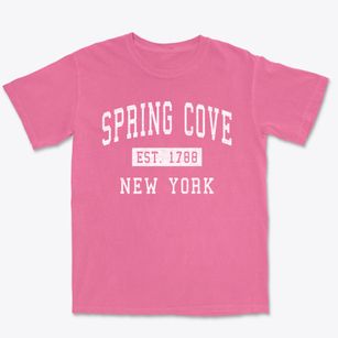 Spring Cove New York Classic Established Premium Heavyweight T-shirt