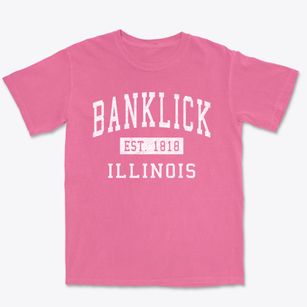 Banklick Illinois Classic Established Premium Heavyweight T-shirt