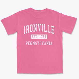 Ironville Pennsylvania Classic Established Premium Heavyweight T-shirt