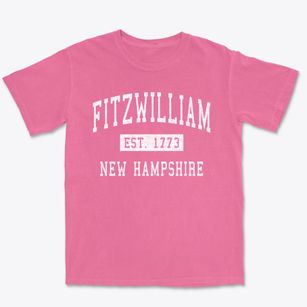 Fitzwilliam New Hampshire Classic Established Premium Heavyweight T-shirt