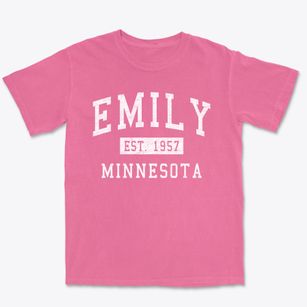 Emily Minnesota Classic Established Premium Heavyweight T-shirt