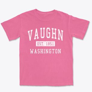Vaughn Washington Classic Established Premium Heavyweight T-shirt