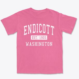 Endicott Washington Classic Established Premium Heavyweight T-shirt