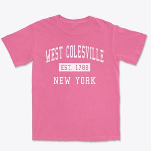 West Colesville New York Classic Established Premium Heavyweight T-shirt