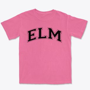 Elm Elementary School Varsity Arch Premium Heavyweight T-shirt