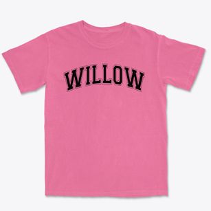 Willow Elementary School Varsity Arch Premium Heavyweight T-shirt