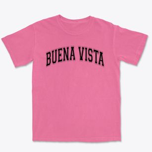 Buena Vista Elementary School Varsity Arch Premium Heavyweight T-shirt