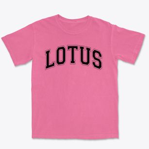 Lotus School For Excellence Blue Varsity Arch Premium Heavyweight T-shirt