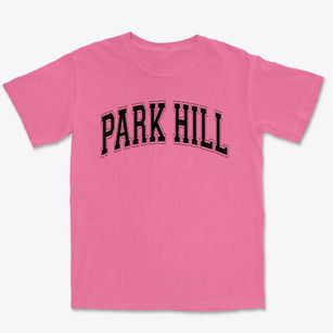 Park Hill Elementary School Varsity Arch Premium Heavyweight T-shirt