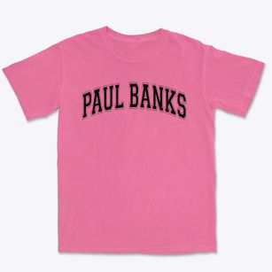Paul Banks Elementary School Varsity Arch Premium Heavyweight T-shirt