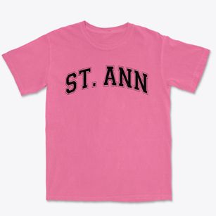 Saint Ann Discovery School Varsity Arch Premium Heavyweight T-shirt