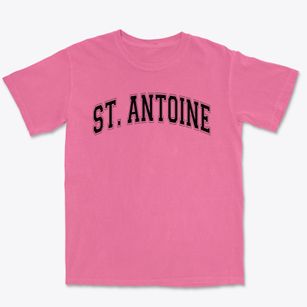 Saint Antoine Elementary School Varsity Arch Premium Heavyweight T-shirt