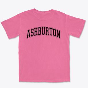 Ashburton Elementary School Varsity Arch Premium Heavyweight T-shirt