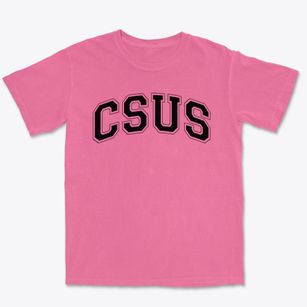Cambridge Street Upper School Varsity Arch Premium Heavyweight T-shirt