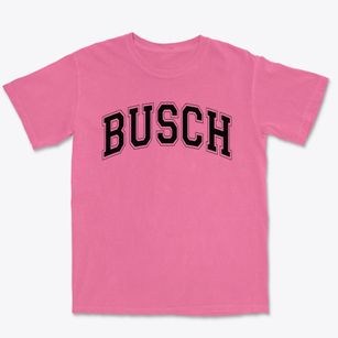 Busch School Of Character & Athletics Varsity Arch Premium Heavyweight T-shirt