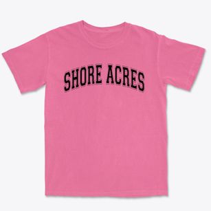 Shore Acres Elementary School Varsity Arch Premium Heavyweight T-shirt