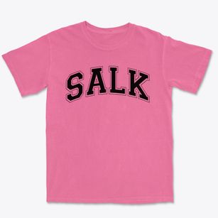 Salk Elementary School Varsity Arch Premium Heavyweight T-shirt