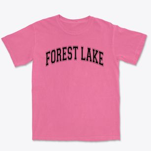Forest Lake Elementary School Varsity Arch Premium Heavyweight T-shirt