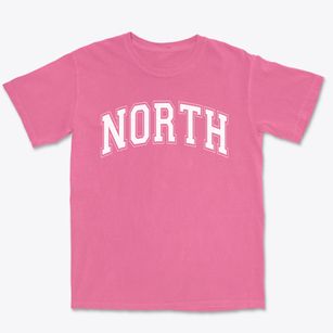 North Elementary School Varsity Arch Premium Heavyweight T-shirt