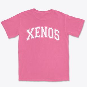 Xenos Christian School Varsity Arch Premium Heavyweight T-shirt
