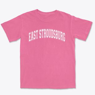 East Stroudsburg Christian Academy Varsity Arch Premium Heavyweight T-shirt