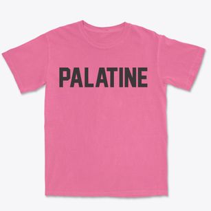 Palatine New York Classic Block Premium Heavyweight T-shirt
