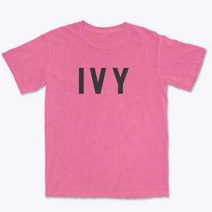 Ivy Virginia Classic Block Premium Heavyweight T-shirt