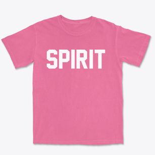 Spirit Wisconsin Classic Block Premium Heavyweight T-shirt