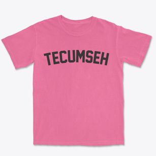 Tecumseh Nebraska Classic Curve Premium Heavyweight T-shirt