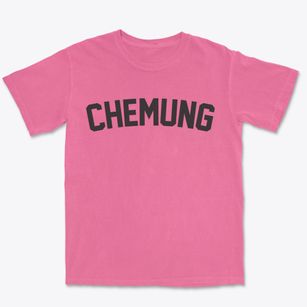 Chemung Illinois Classic Curve Premium Heavyweight T-shirt