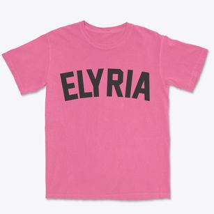 Elyria Nebraska Classic Curve Premium Heavyweight T-shirt