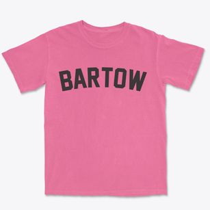 Bartow West Virginia Classic Curve Premium Heavyweight T-shirt