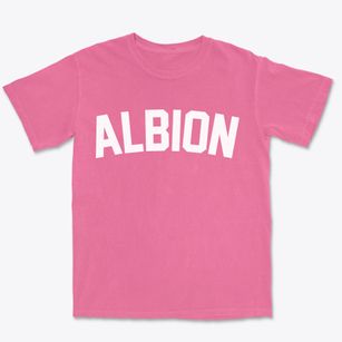 Albion Michigan Classic Curve Premium Heavyweight T-shirt