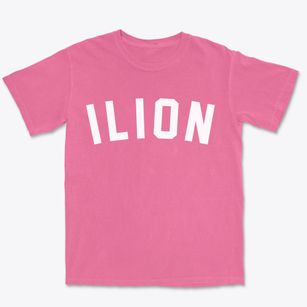Ilion New York Classic Curve Premium Heavyweight T-shirt