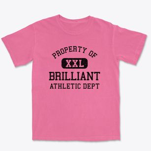 Brilliant Ohio Athletic Dept Premium Heavyweight T-shirt