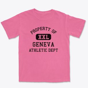 Geneva Indiana Athletic Dept Premium Heavyweight T-shirt